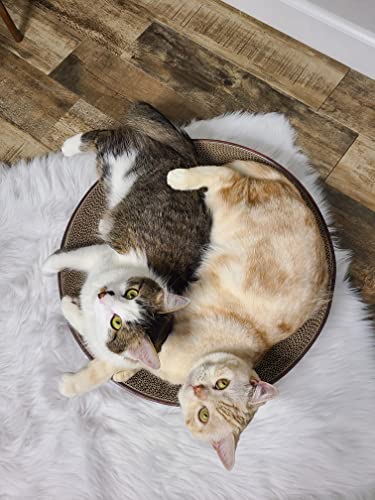 Necoichi Cat Scratcher Bowl for Indoor Cats (Regular / Dark Cherry)