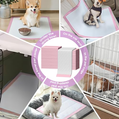 Pet Toilet Training Pads 100 Count Disposable Puppy Pee Pads for Dogs (Pink / 13" x 18"-100 Count)