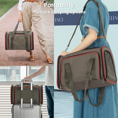 Expandable Cat Dog Carrier for 2 Cats (19"L x 12"W x 12"H / Brown)
