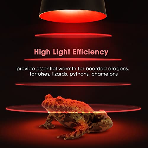 G9 Infrared Heat Lamp Bulbs for Reptile Mini Reptile Light Red (Red Bulb / 6 Pack)
