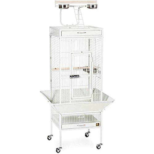 Wrought Iron Select Bird Cage (Chalk White / 18.0"L x 18.0"W x 57.0"H)