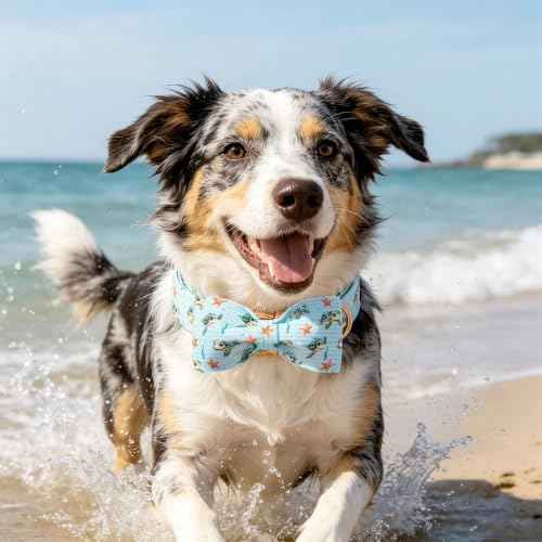 Pet Collars Preppy Sea Turtle Dog Collar with Bow (Turtle / X-Small (Pack of 1))