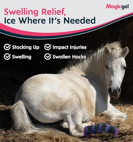 Horse Ice Pack with Carry Case (2 Count (Pack of 2))