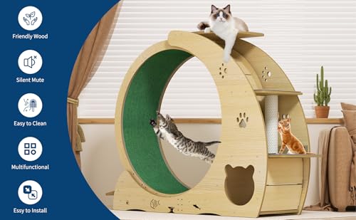55" Multi Cat Exercise Wheel with 3