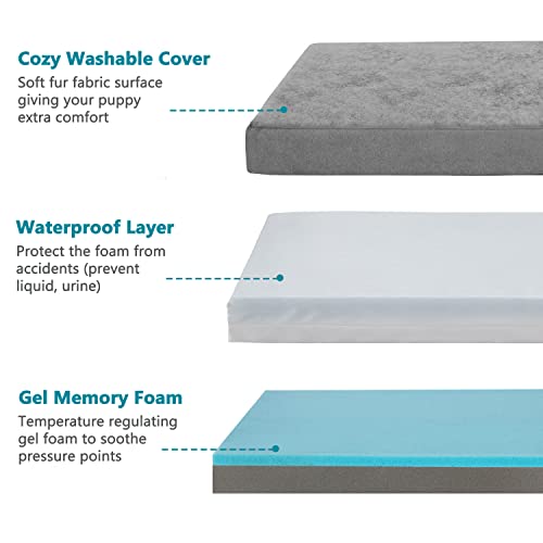 Orthopedic Memory Foam Dog Bed (Short Plush / X-Large-41"x 29" x 4")