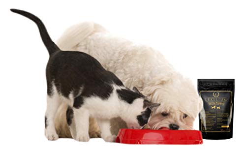 Nursing & Lactation Support for Dogs & Cats