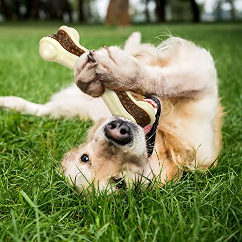 6 Pcs Nylon Dog Bones Toys for Aggressive Chewers (Medium/Large)