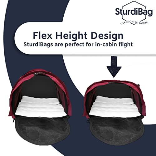 SturdiBag XL Pet Travel Carrier (20.0"L x 12.0"W x 16.0"H / Earthy Tan)