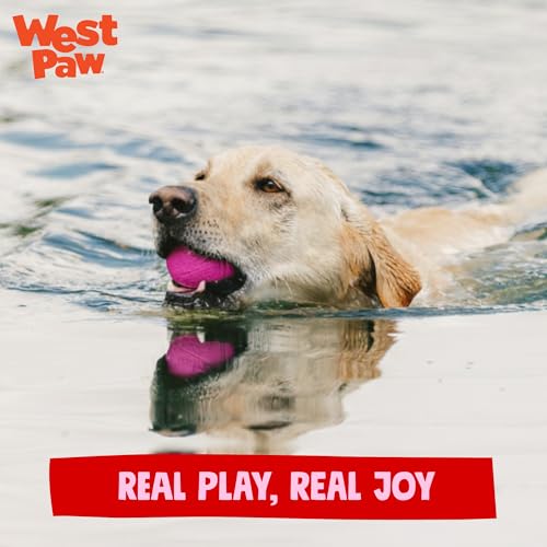 Boundr Ball Dog Fetch Toy (Small (Pack of 2) / Hot Pink/Glow)