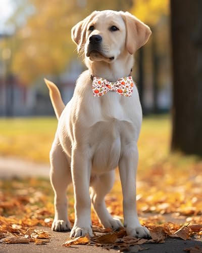 10 Pack Fall Dog Bowties for Large Dogs Sliding on Collar (M/L)