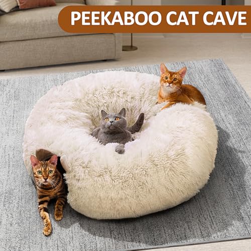 Cat Tunnel with Cat Bed for Indoor Cats (Cream white)