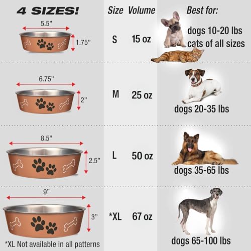Bella Dog Bowls (Copper / Medium (20-35lbs))