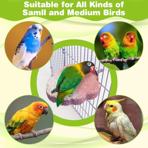 3PCS Bird Beak Grinding Stone Resin Bird Perch Stand Grinding Claw Birds Cage Perch Parrot Climbing Chewing Toys Parakeet Cage Accessories for Budgies Cockatiels Conures