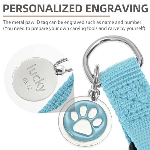 No Pull Dog Harness Medium Sized Step (Light Blue / Medium)