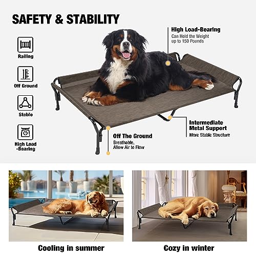 Cooling Elevated Dog Bed (Brown / 62.5"L x 37.0"W x 12.0"Th)