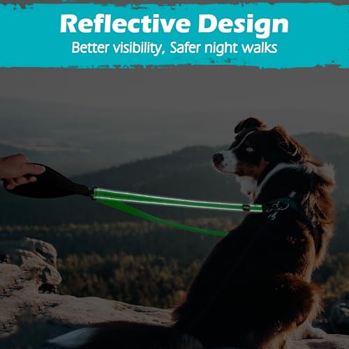 Two Point Control Dog Leash (Grass Green)
