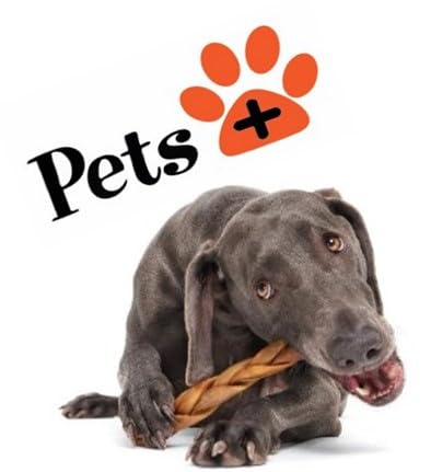 Pets Plus Premium Dog Treats (1 Ounce (Pack of 1))