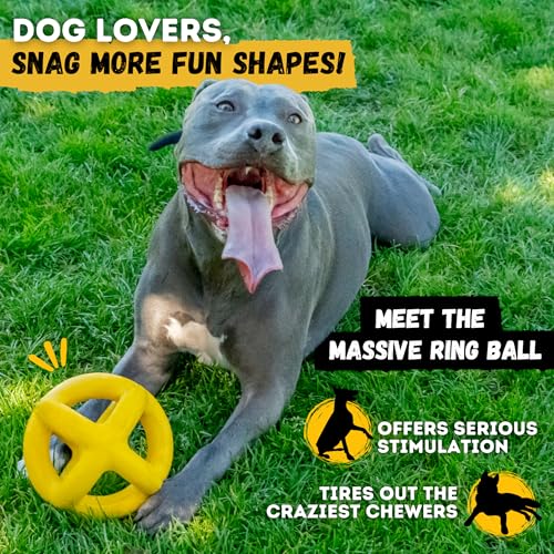 Indestructible Jumping Jack Chew Toy