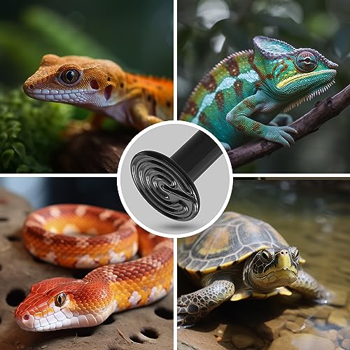 Ceramic Heat Emitter for Reptiles 75W Heat Lamp Bulbs 2 Pack