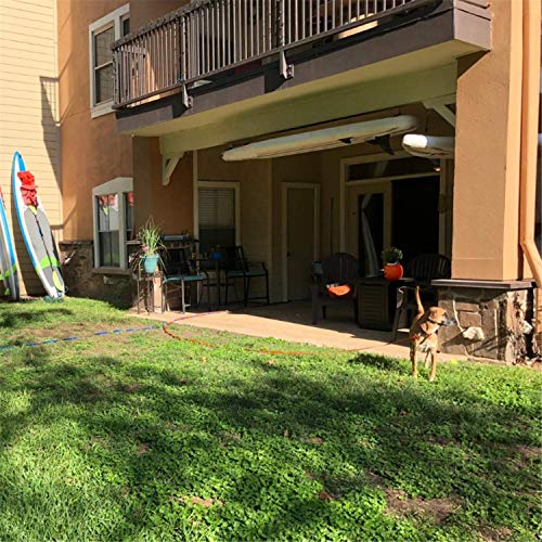 Dog Puppy Obedience Recall Training Agility Lead (Red / 15 Feet)