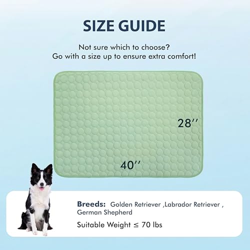 Summer Cooling Mat & Sleeping Pad (40" x 28" / Green)