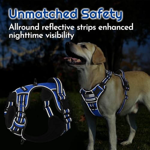 Dog Harness No Pull for Large Dogs (X-Large / Blue & Black)