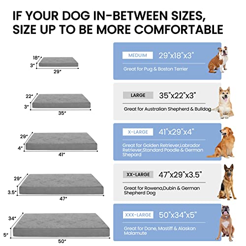 Jumbo Dog Bed for Large Dogs (Short Plush / XXX-Large-50"x 34" x 4")