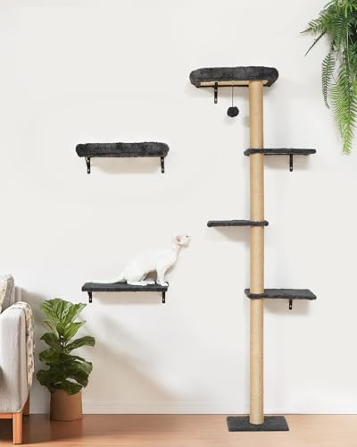 Cat Wall Shelves Set (Grey)