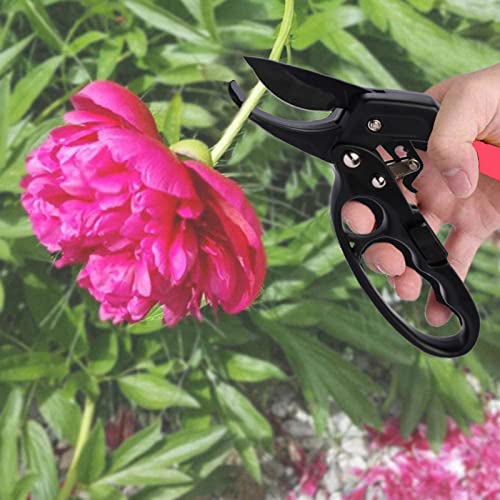 Premium Germany Pruning Shears (Reddish Black)