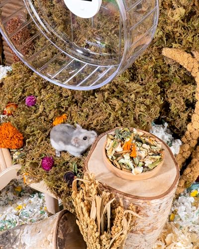 Nature Dwarf Hamster Food (17.64 oz)