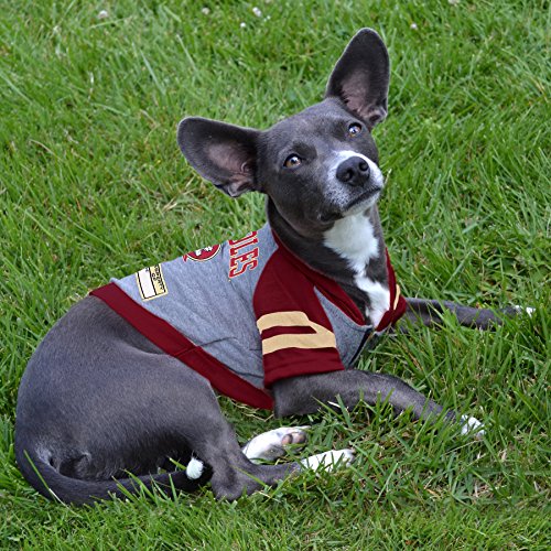 Hoodie for Dogs & Cats (Florida State Seminoles / X-Small)