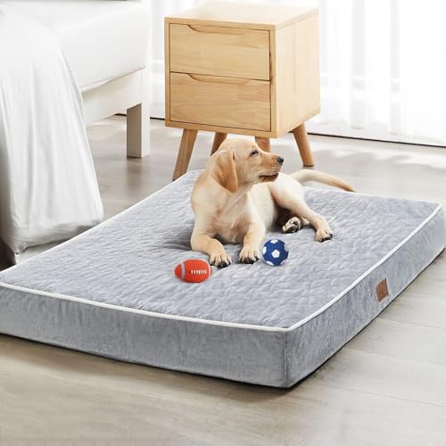 Orthopedic XXL Dog Beds for Large Senior Dog Bed Comfy Sleeping (Light Grey / 55"L x 42"W x 4"Th)