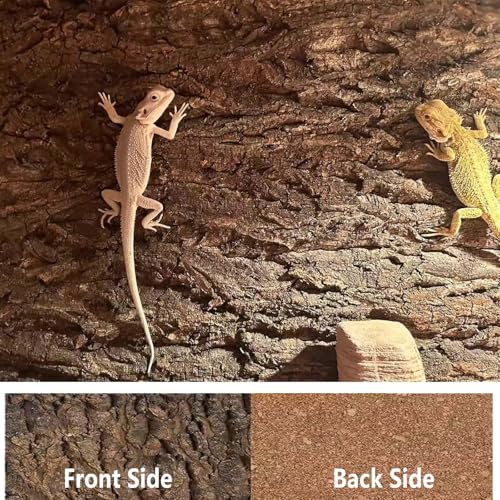 2PCS 15.7"x11.8" Natural Thickened Reptile Cork Bark Terrarium Background (2PCS - L:15.7" x 11.8")