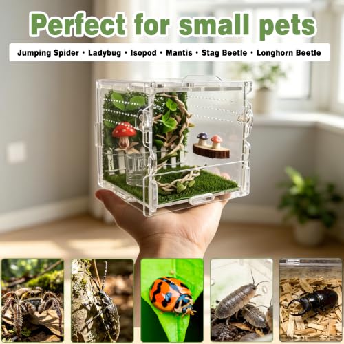 Jumping Spider Enclosure Kit 14 (Green-Scandi style)