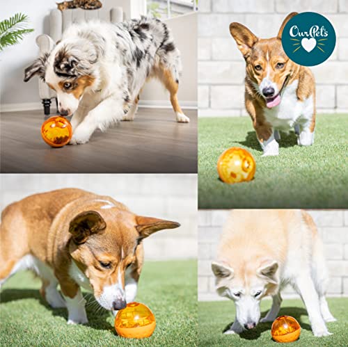 OurPets IQ Treat Ball Food Dispensing Dog Toy (3 INCH)