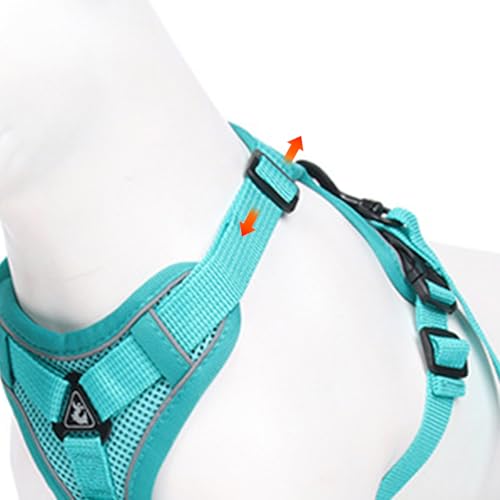 cat Chest Harness and Leash (Emerald / L:11.02-16.5lb)