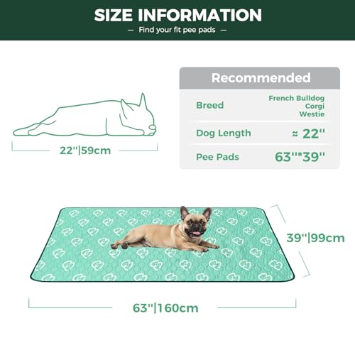 Washable Pee Pads for Dogs (Green / 39" x 63" (1 Pack))