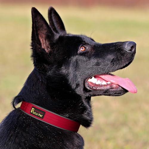 Tactical Dog Collar (S / Red)