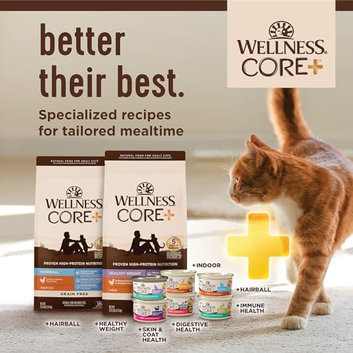 CORE+ Pate Adult Canned Wet Cat Food for Indoor Cats (5.5 Ounce (Pack of 12))