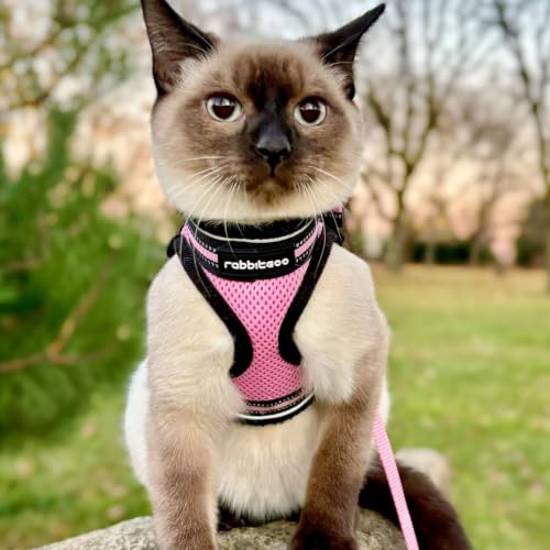 Cat Harness and Leash Set (L / Pink)