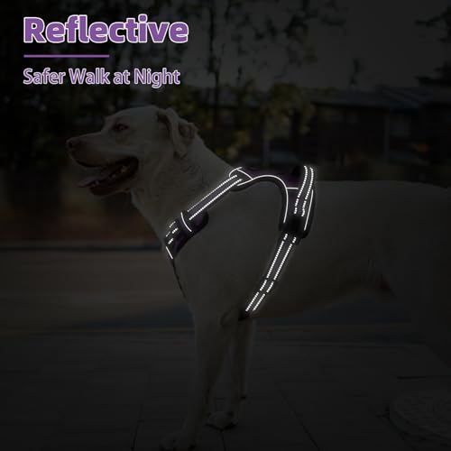 No Pull Dog Harness for Large (Purple / X-Large)
