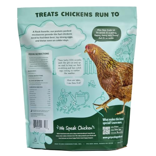 Dried Mealworms Treats for Chickens (10 Ounce (Pack of 1))
