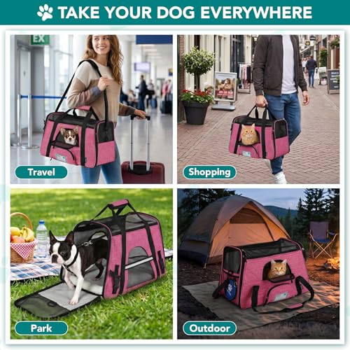 Airline Approved Pet Carrier for Cats Small Dogs (Heather Pink / 19.5"L x 10.2"W x 12.0"H)