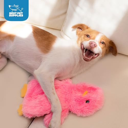 Interactive Squeaky Dog Chew Toy (Crinkle Chicken (Yellow, Pink, Blue) / Large)