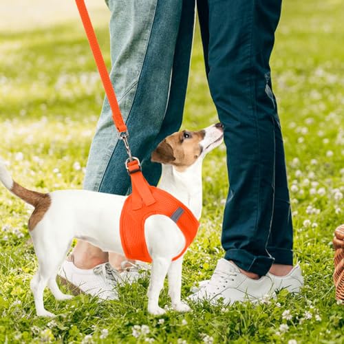 Dog Harness Collar and Leash Set No Pull for Small Medium Sized (Solid Orange / M (CHEST 16"-18"))
