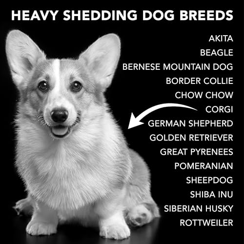 The Shedder Box Set