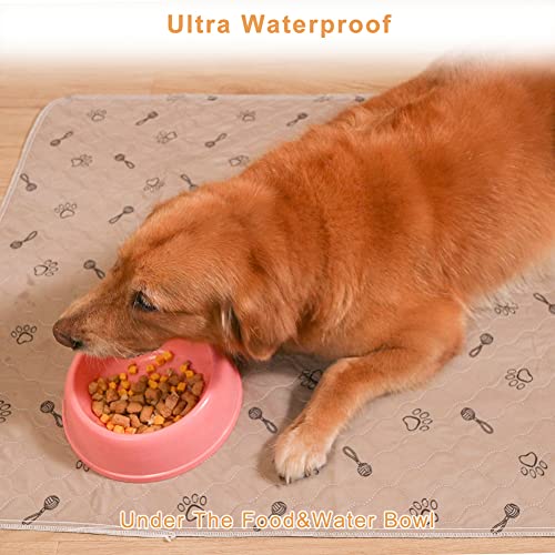 48x96 Dog Pee Pad Washable (48x96 Inch (Pack of 1))