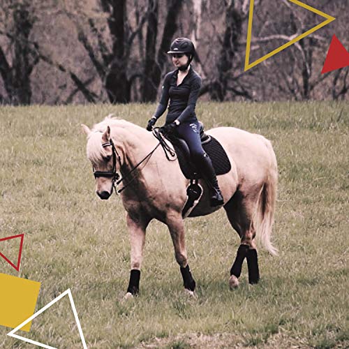 Classic Bandage for Horses (4 Pack / Black)