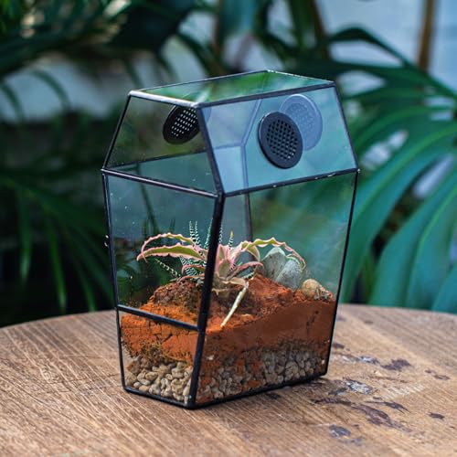 Gothic Glass Enclosure for Jumping Spider