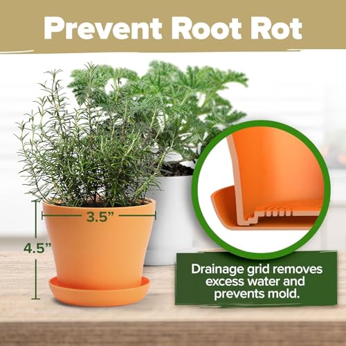 8 Herb Garden Kit